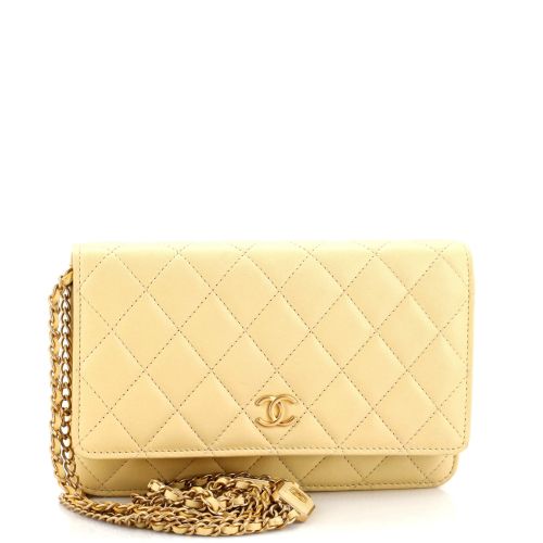 CC Plate Wallet on Chain Quilted Lambskin